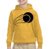 Youth Heavy Blend™ Hooded Sweatshirt Thumbnail