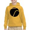 Youth Heavy Blend™ Hooded Sweatshirt Thumbnail