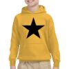Youth Heavy Blend™ Hooded Sweatshirt Thumbnail