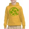 Youth Heavy Blend™ Hooded Sweatshirt Thumbnail