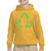 Youth Heavy Blend™ Hooded Sweatshirt Thumbnail