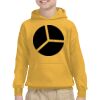 Youth Heavy Blend™ Hooded Sweatshirt Thumbnail
