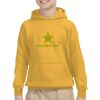 Youth Heavy Blend™ Hooded Sweatshirt Thumbnail