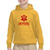 Youth Heavy Blend™ Hooded Sweatshirt Thumbnail