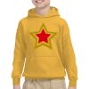 Youth Heavy Blend™ Hooded Sweatshirt Thumbnail