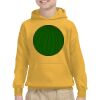 Youth Heavy Blend™ Hooded Sweatshirt Thumbnail