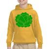 Youth Heavy Blend™ Hooded Sweatshirt Thumbnail