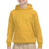 Youth Heavy Blend™ Hooded Sweatshirt Thumbnail