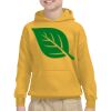 Youth Heavy Blend™ Hooded Sweatshirt Thumbnail