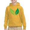 Youth Heavy Blend™ Hooded Sweatshirt Thumbnail