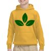 Youth Heavy Blend™ Hooded Sweatshirt Thumbnail