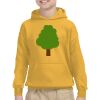 Youth Heavy Blend™ Hooded Sweatshirt Thumbnail