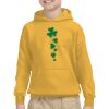 Youth Heavy Blend™ Hooded Sweatshirt Thumbnail