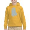 Gildan Youth Heavy Blend™ Hooded Sweatshirt Thumbnail