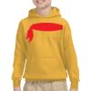 Gildan Youth Heavy Blend™ Hooded Sweatshirt Thumbnail