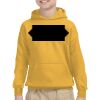 Gildan Youth Heavy Blend™ Hooded Sweatshirt Thumbnail