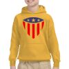 Gildan Youth Heavy Blend™ Hooded Sweatshirt Thumbnail