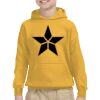 Gildan Youth Heavy Blend™ Hooded Sweatshirt Thumbnail