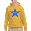 Gildan Youth Heavy Blend™ Hooded Sweatshirt Thumbnail