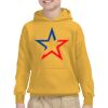 Gildan Youth Heavy Blend™ Hooded Sweatshirt Thumbnail
