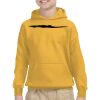Gildan Youth Heavy Blend™ Hooded Sweatshirt Thumbnail