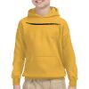 Gildan Youth Heavy Blend™ Hooded Sweatshirt Thumbnail