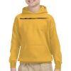 Gildan Youth Heavy Blend™ Hooded Sweatshirt Thumbnail