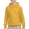 Gildan Youth Heavy Blend™ Hooded Sweatshirt Thumbnail